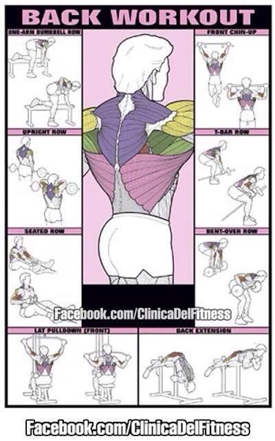 Ebook Workout Plan – Sarah’s Nailbar