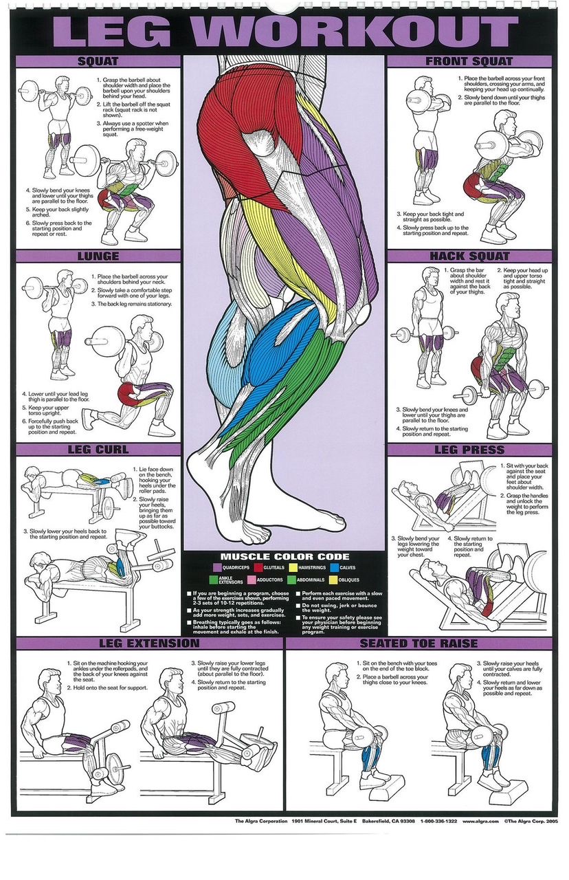 Ebook Workout Plan – Sarah’s Nailbar