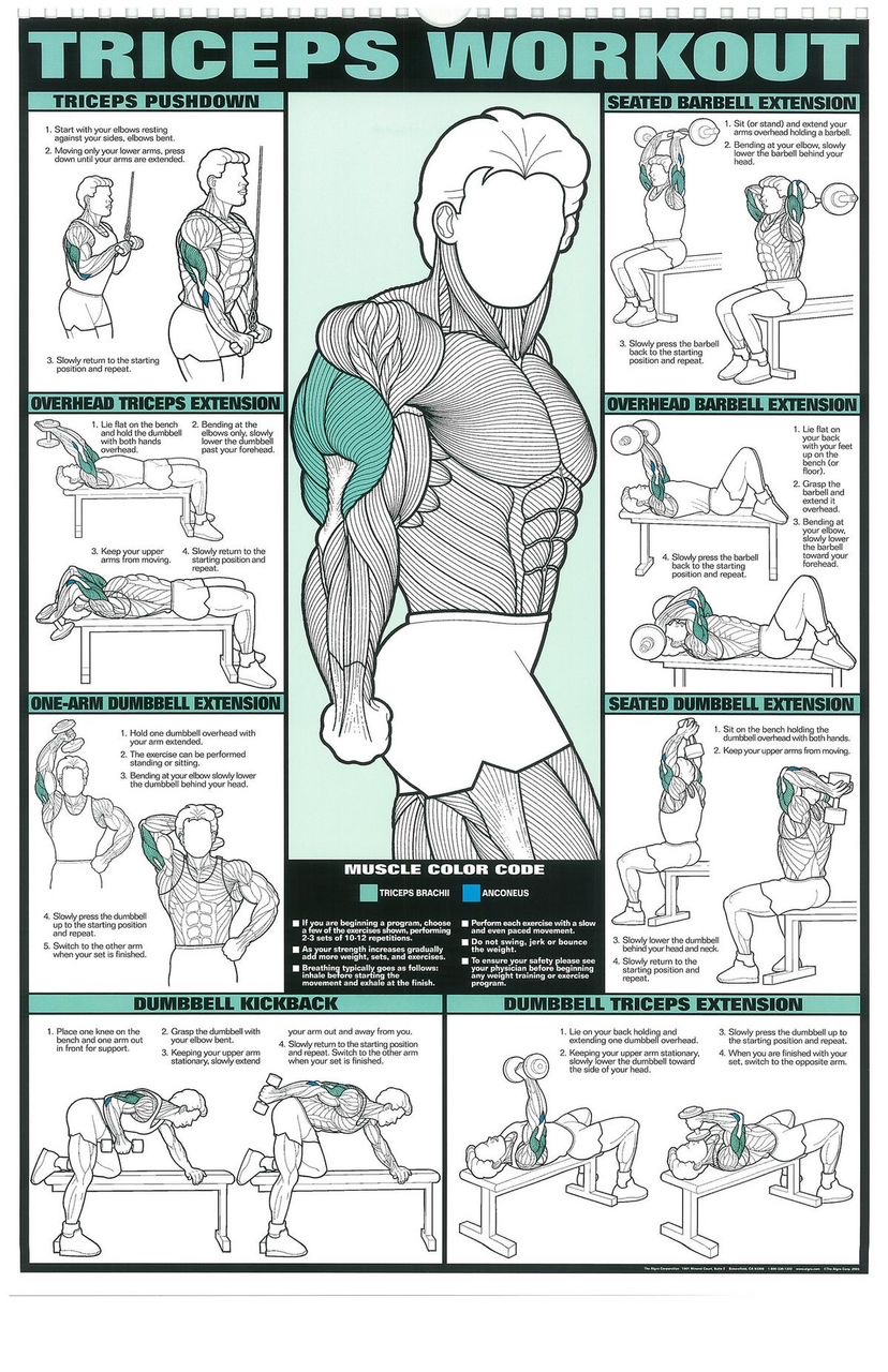 Ebook Workout Plan product image
